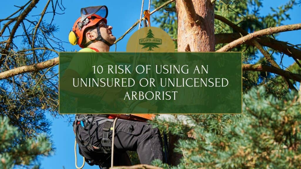 10 Risks of Using an Uninsured or Unlicensed Arborist