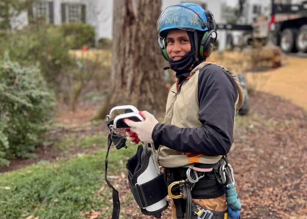 Tree Care