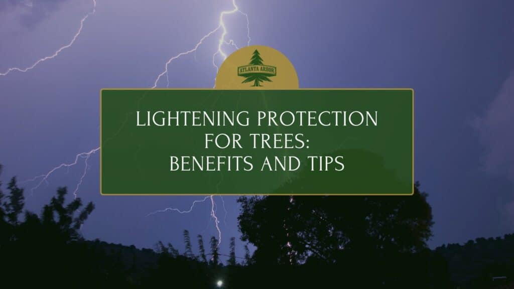 lightening protection for trees