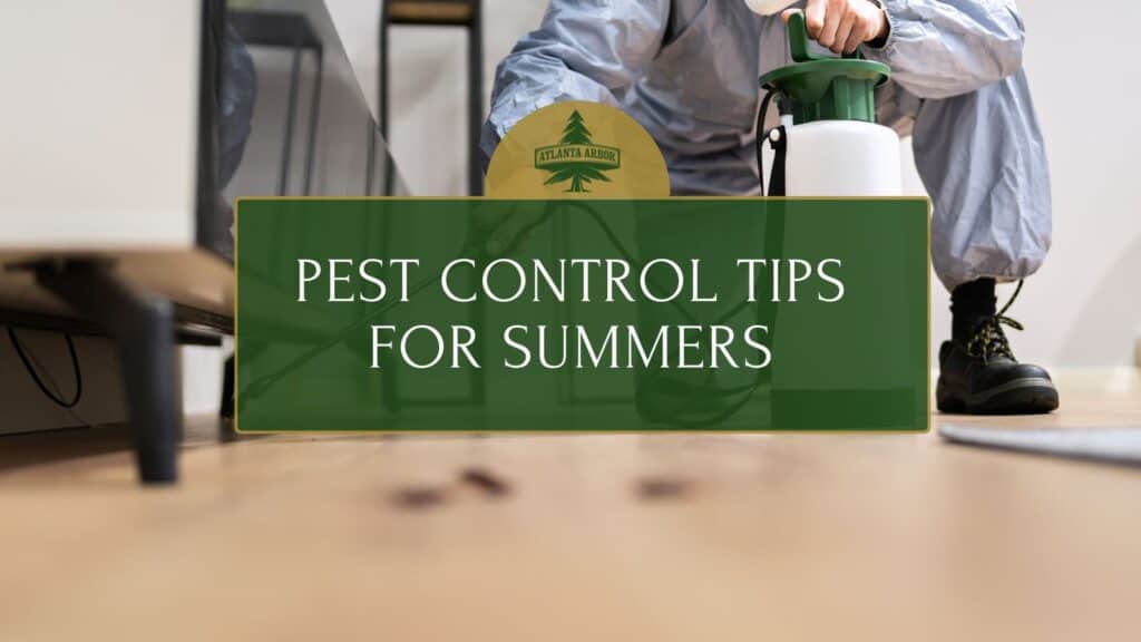 Pest Control Tips for Summers