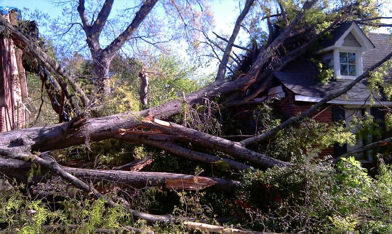Storm Damage Tree Removal in Atlanta Georgia