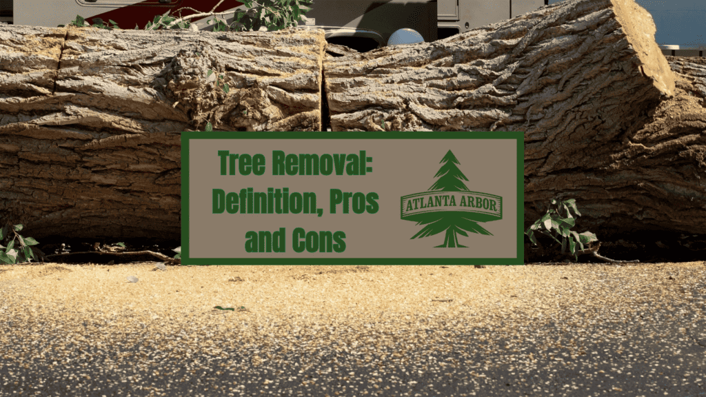 Felled tree cut into segments