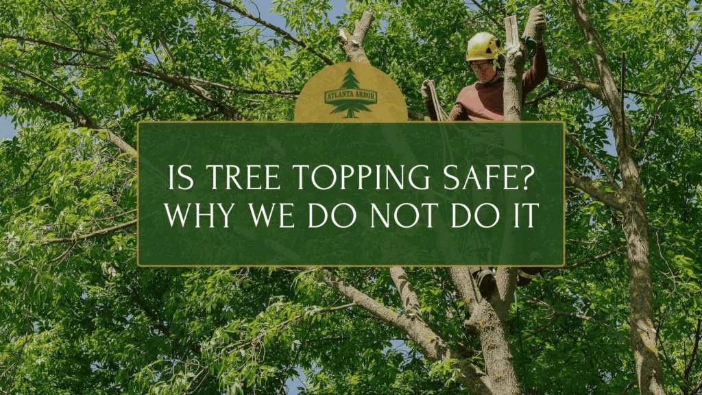 Tree topping