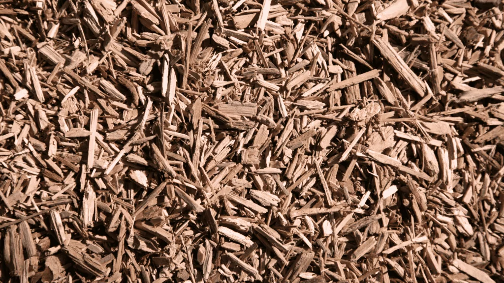 A close up picture of fresh organic much.