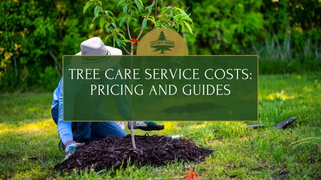 Tree Care Service Costs Pricing and Guides